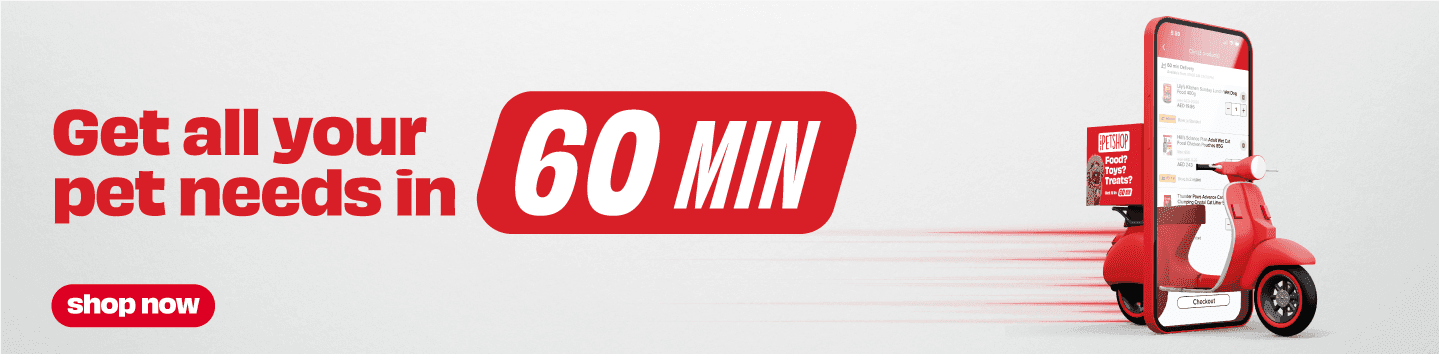 60_minutes_delivery_HP_banner_web_d221e06219